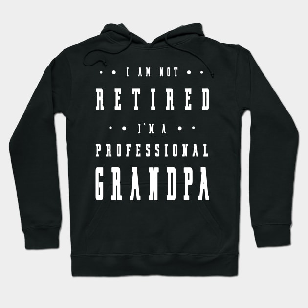 Funny Retiree I'm Not Retired I'm A Professional Grandpa Hoodie by artbypond